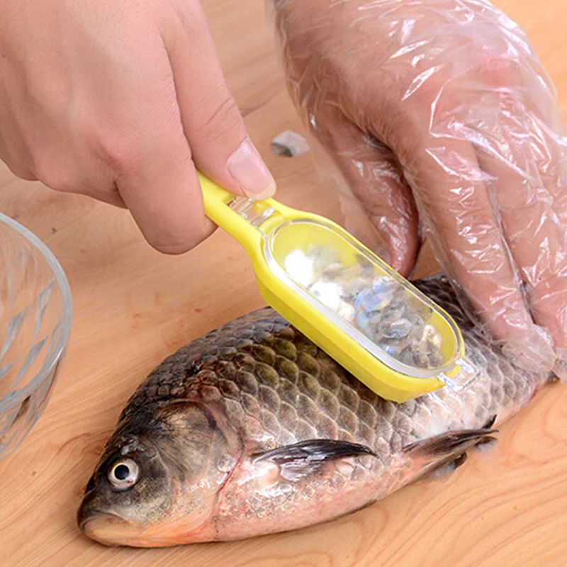 Eco-Friendly Fish Scale Scraper with Lid