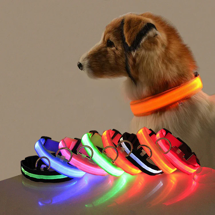 Eco-Friendly LED Safety Dog Collar