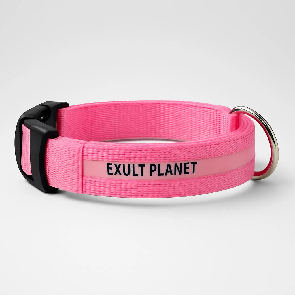 Eco-Friendly LED Safety Dog Collar - Image 28