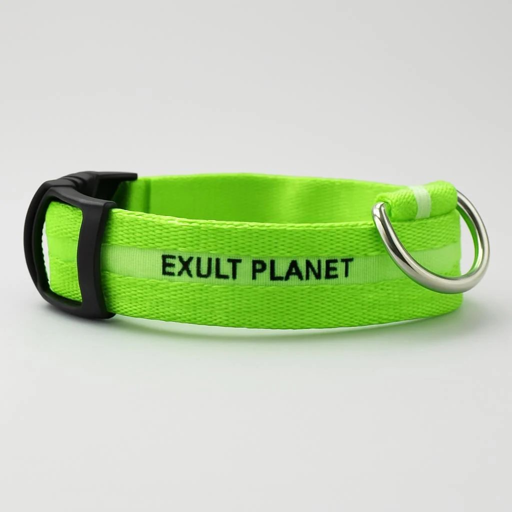 Eco-Friendly LED Safety Dog Collar - Image 35