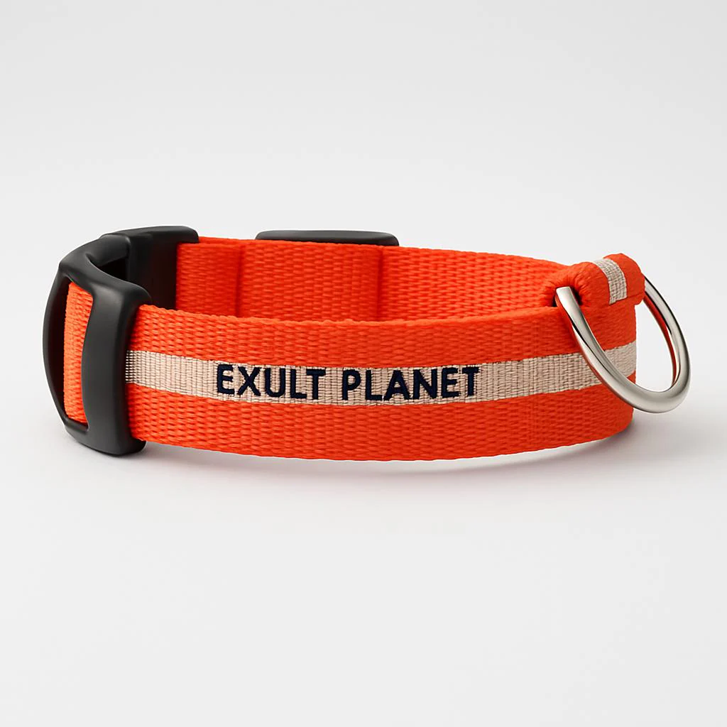 Eco-Friendly LED Safety Dog Collar - Image 36
