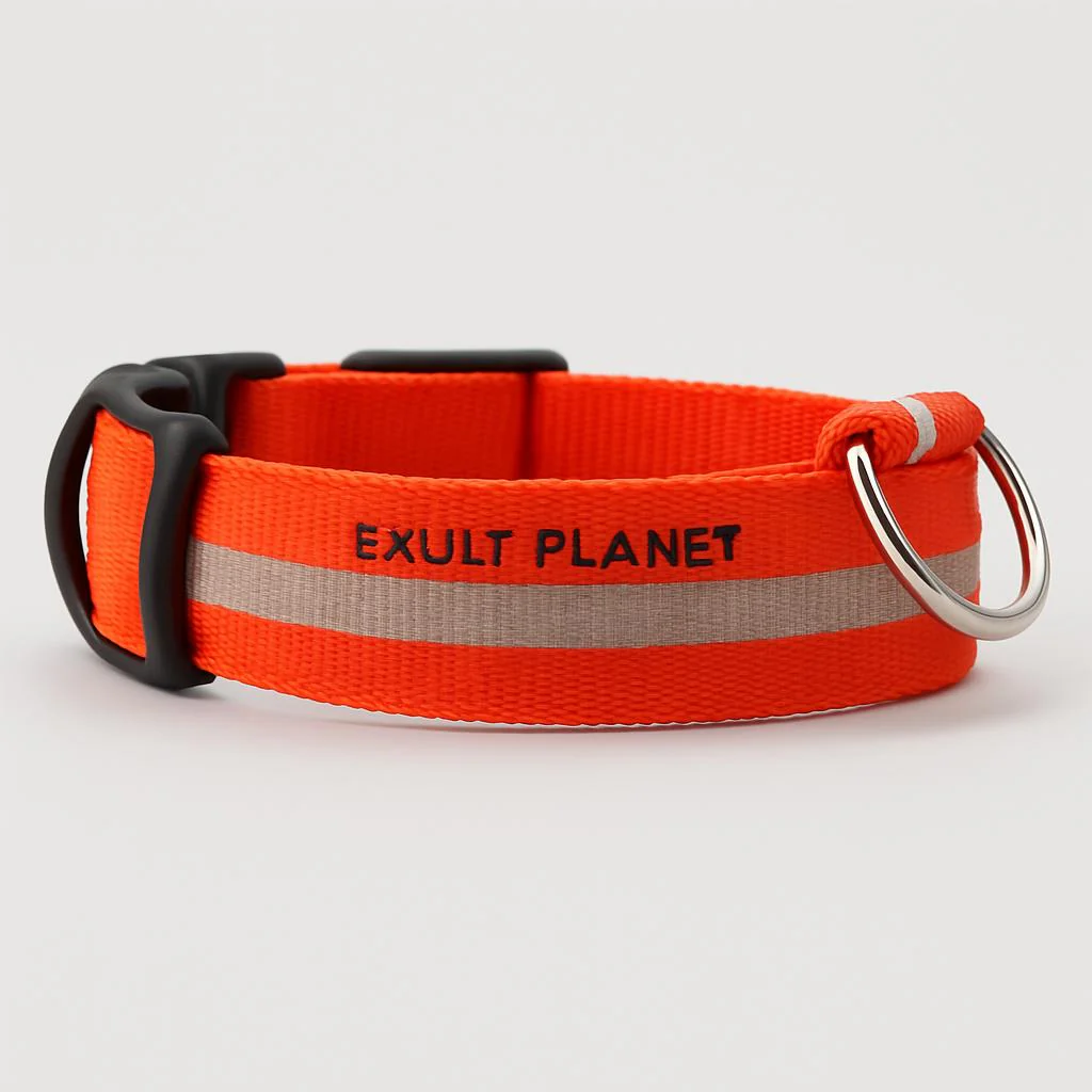 Eco-Friendly LED Safety Dog Collar - Image 38