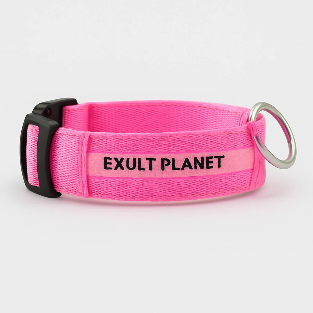 Eco-Friendly LED Safety Dog Collar - Image 42