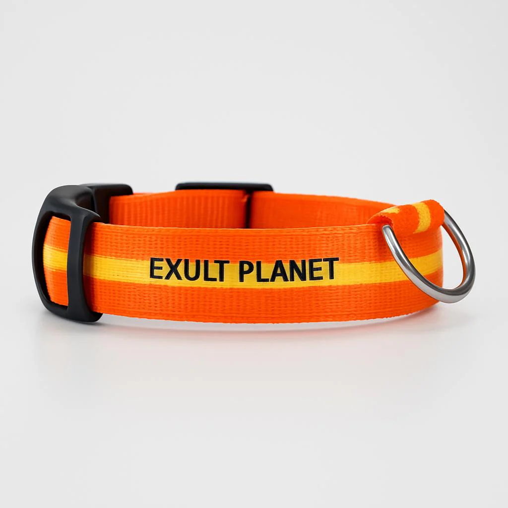 Eco-Friendly LED Safety Dog Collar - Image 43