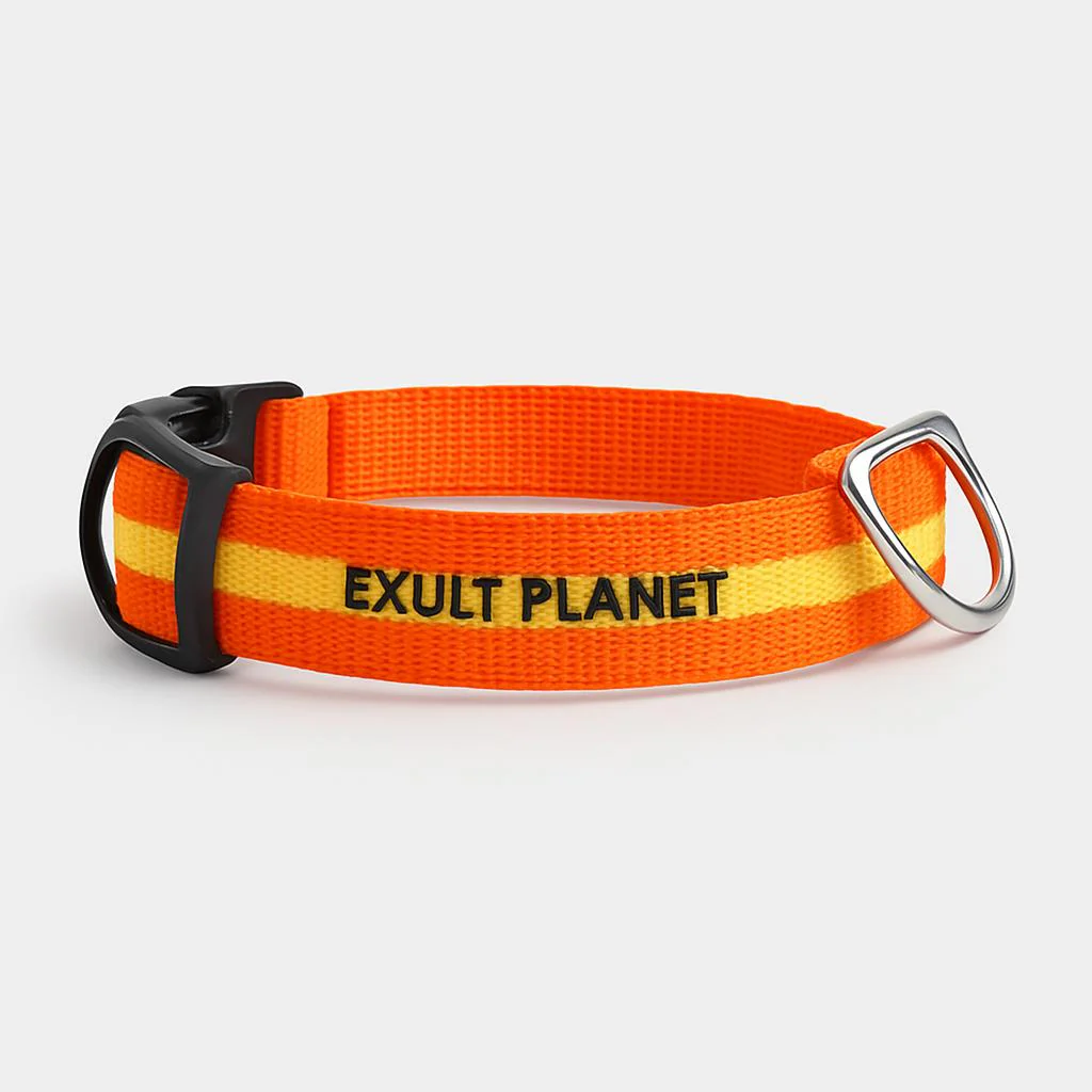 Eco-Friendly LED Safety Dog Collar - Image 51