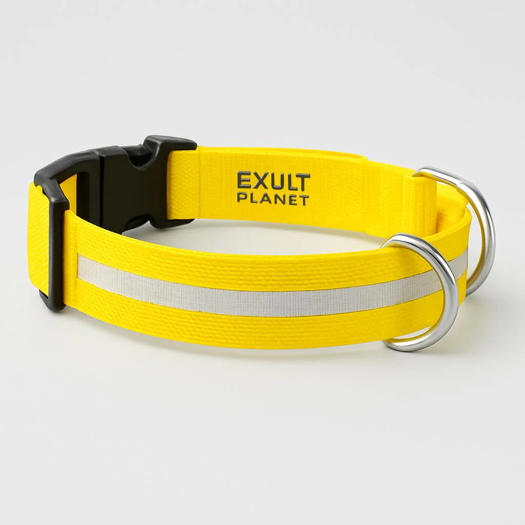 Eco-Friendly LED Safety Dog Collar - Image 55
