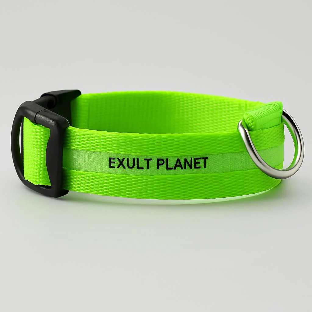 Eco-Friendly LED Safety Dog Collar - Image 57