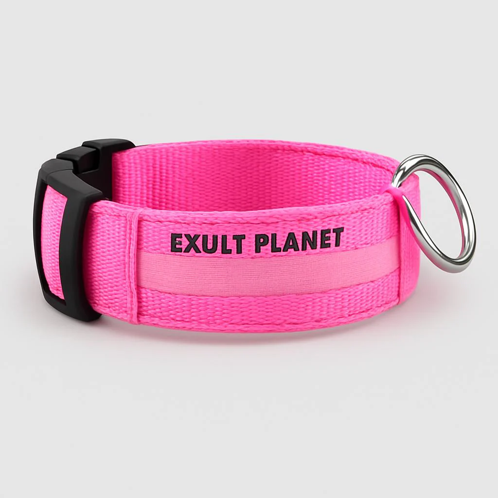 Eco-Friendly LED Safety Dog Collar - Image 58