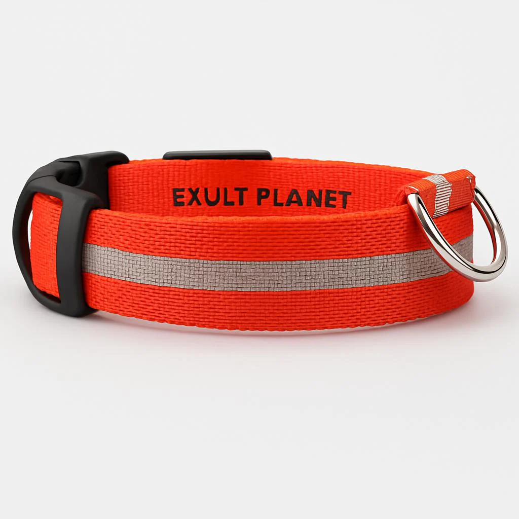 Eco-Friendly LED Safety Dog Collar - Image 60