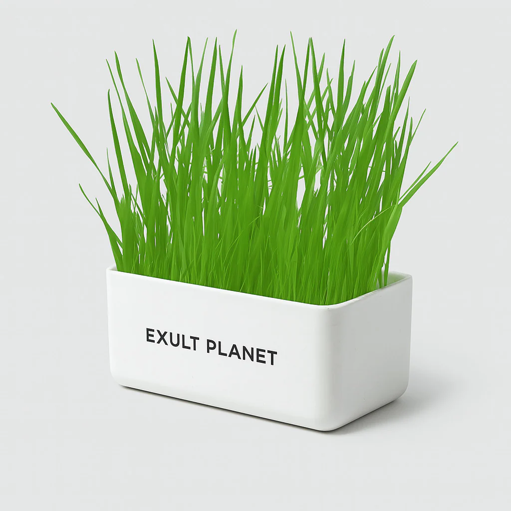 Eco-Friendly Indoor Plant Growing Kit