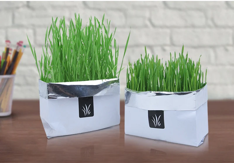 Eco-Friendly Indoor Plant Growing Kit - Image 11