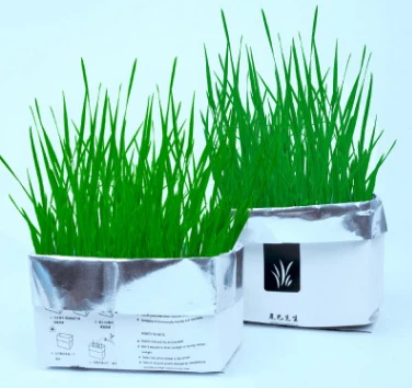 Eco-Friendly Indoor Plant Growing Kit - Image 12
