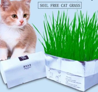Eco-Friendly Indoor Plant Growing Kit - Image 13