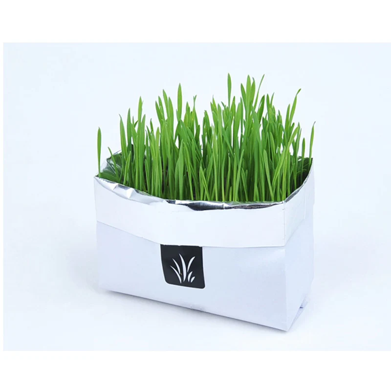 Eco-Friendly Indoor Plant Growing Kit - Image 9