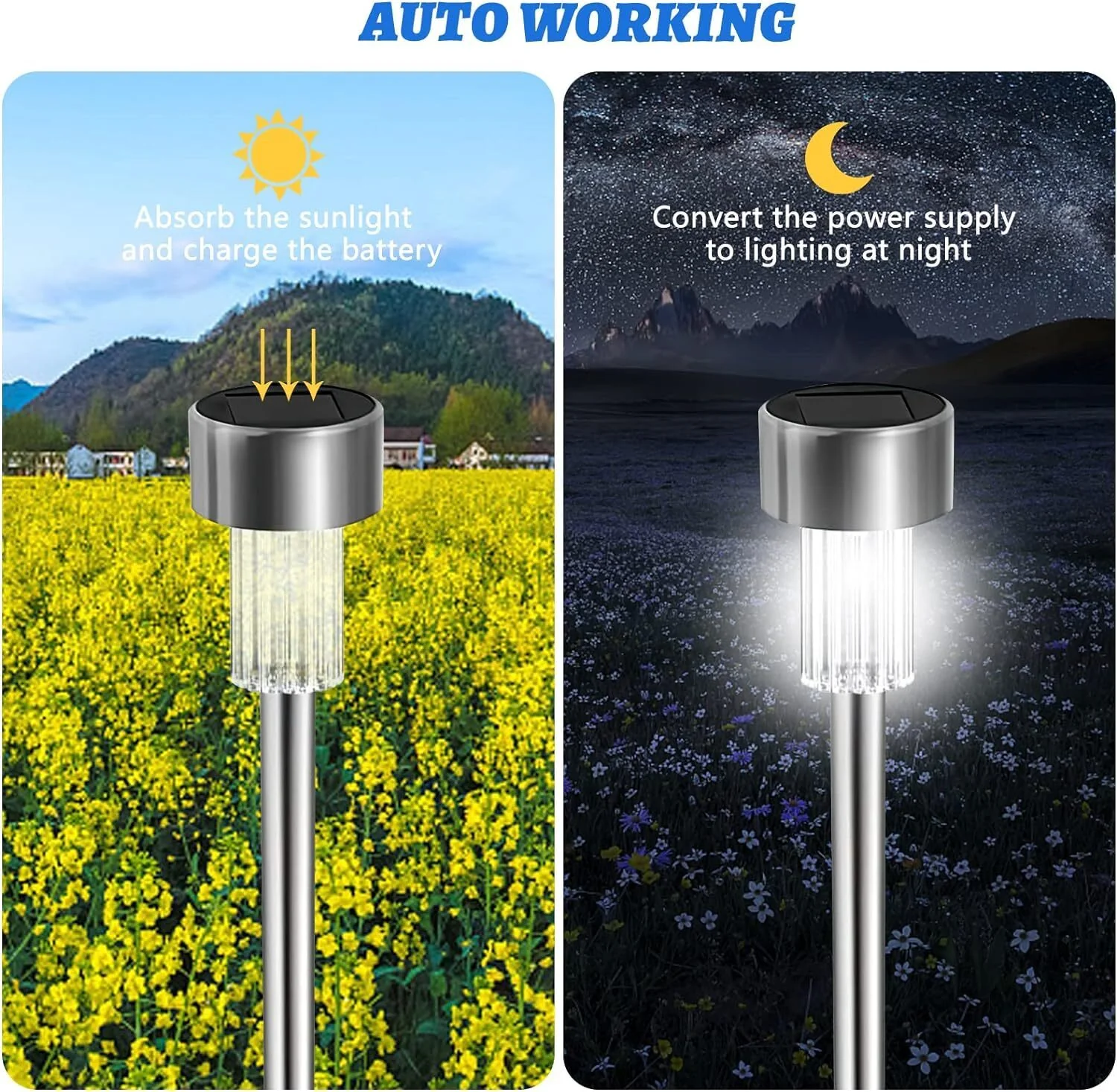 Eco-Friendly Solar Garden Stake Lights - Image 14