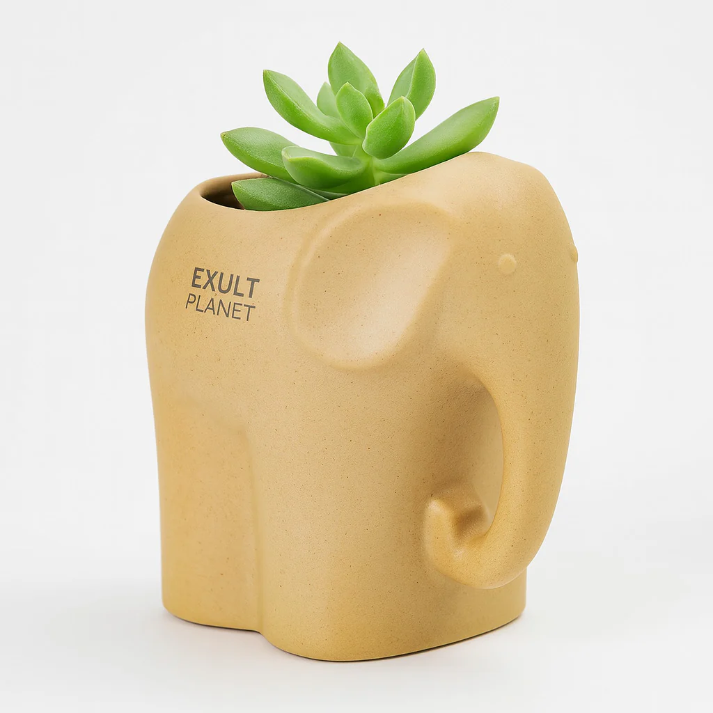 Eco-Friendly Elephant and Cat Succulent Planters