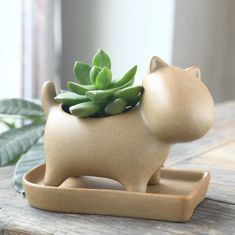 Eco-Friendly Elephant and Cat Succulent Planters - Image 12
