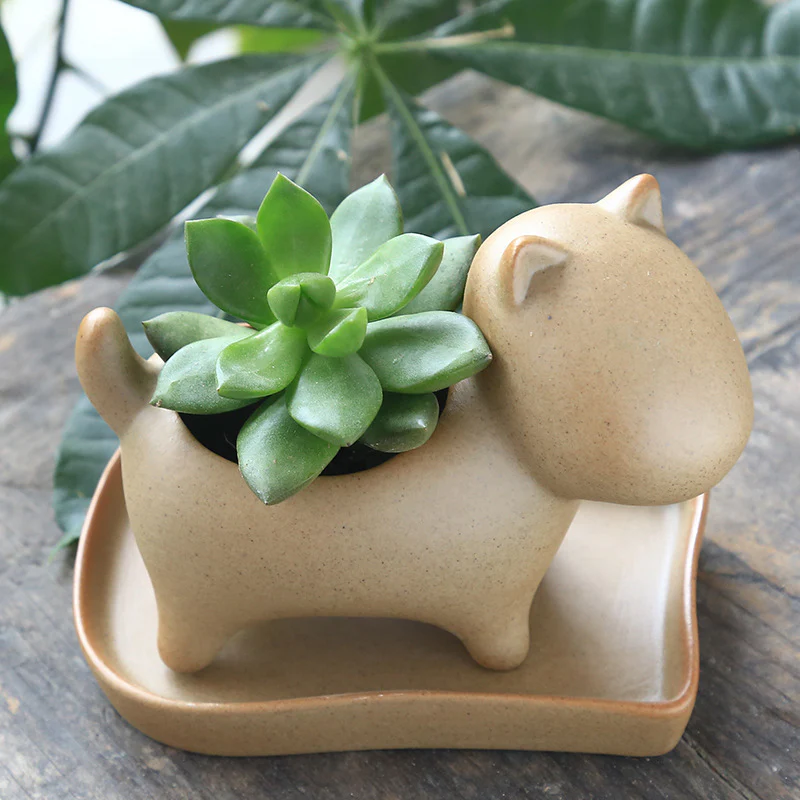 Eco-Friendly Elephant and Cat Succulent Planters - Image 13