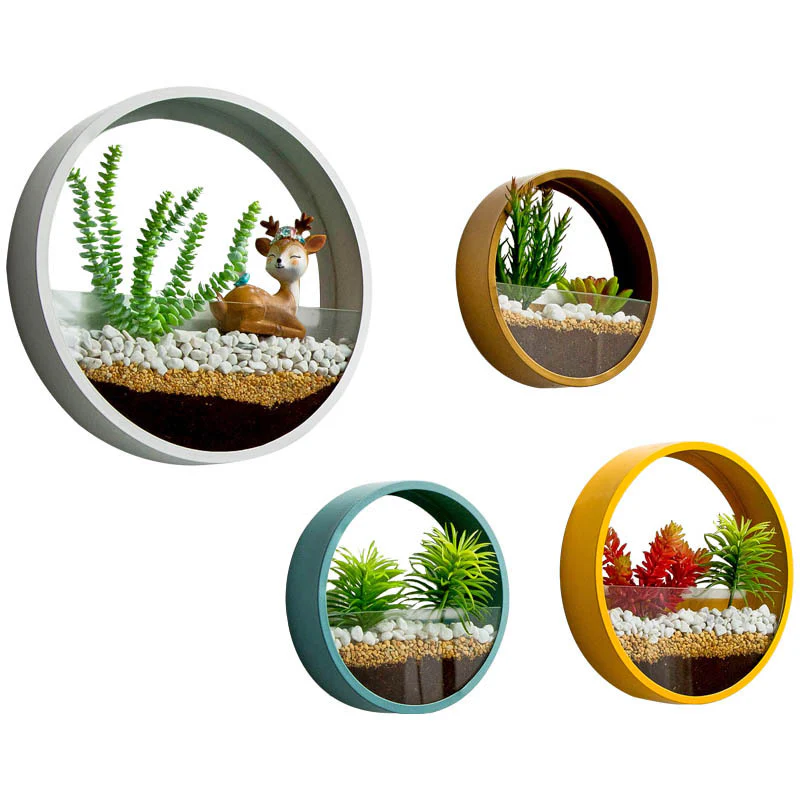 Eco-Friendly Circular Wall-Mounted Planters for Indoor Greenery - Image 13